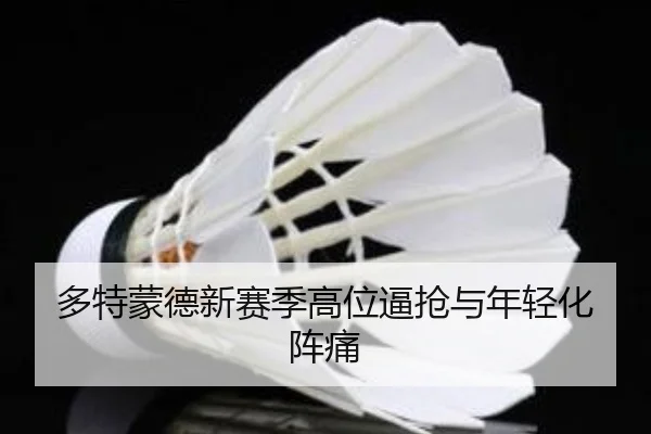 duo-te-meng-de-xin-sai-ji-gao-wei-bi-qiang-yu-nian-qing-hua-zhen-tong-2-293.jpg