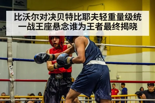 比沃尔对决贝特比耶夫轻重量级统一战王座悬念谁为王者最终揭晓